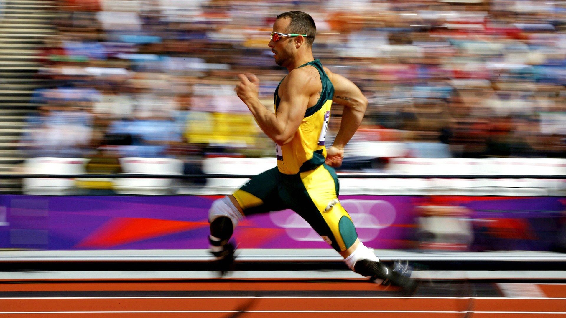 室内攀岩锦标赛，挑战极限攀登的精彩瞬间，室内攀岩视频比赛视频